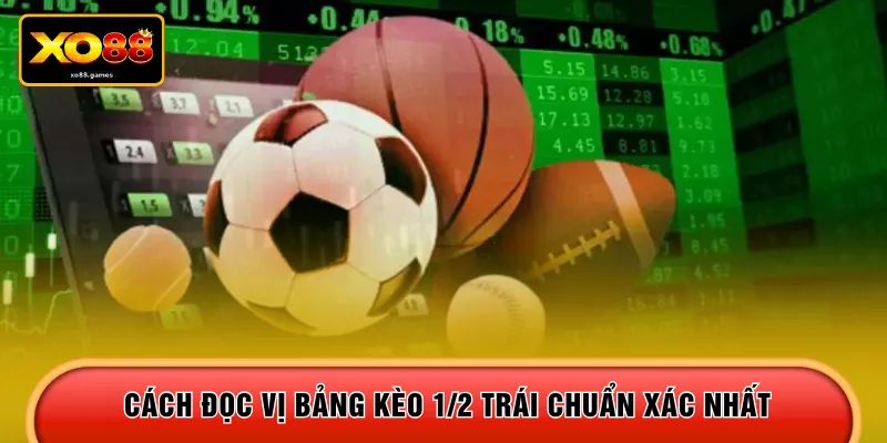 Cách đọc vị bảng kèo 1/2 trái chuẩn xác nhất