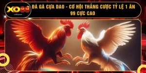 Đá Gà Cựa Dao - Cơ Hội Thắng Cược Tỷ Lệ 1 Ăn 99 Cực Cao 