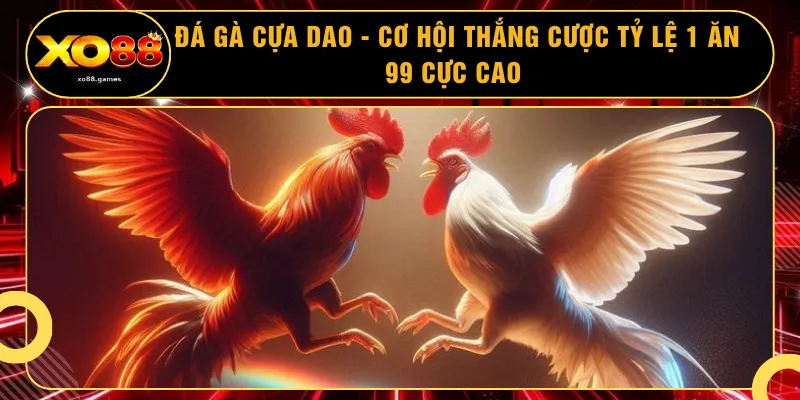 Đá Gà Cựa Dao - Cơ Hội Thắng Cược Tỷ Lệ 1 Ăn 99 Cực Cao 