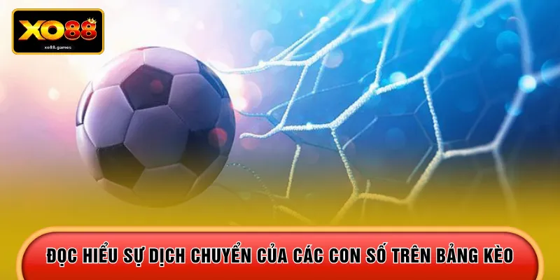 Đọc hiểu sự dịch chuyển của các con số trên bảng kèo 