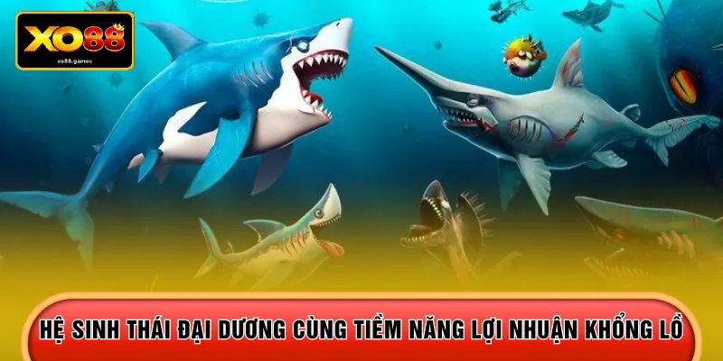 Hệ sinh thái đại dương cùng tiềm năng lợi nhuận khổng lồ 