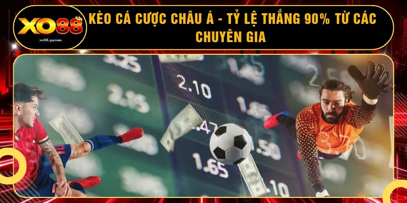 Kèo Cá Cược Châu Á - Tỷ Lệ Thắng 90% Từ Các Chuyên Gia 