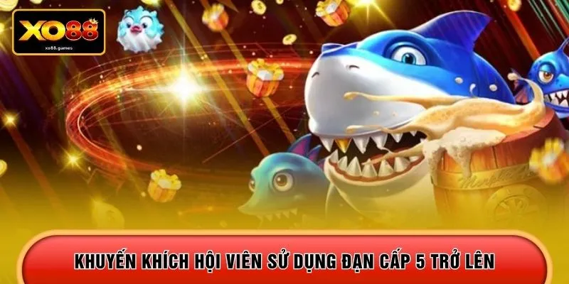 Khuyến khích hội viên sử dụng đạn cấp 5 trở lên 