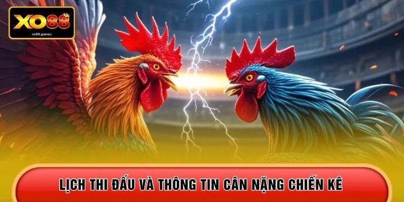Lịch thi đấu và thông tin cân nặng chiến kê