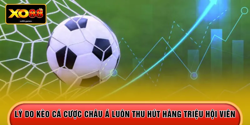 Lý do kèo cá cược châu Á luôn thu hút hàng triệu hội viên