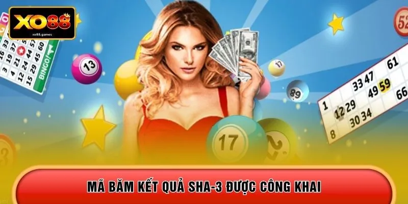 Mã băm kết quả SHA-3 được công khai 