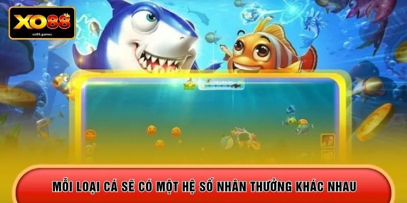 Mỗi loại cá sẽ có một hệ số nhân thưởng khác nhau