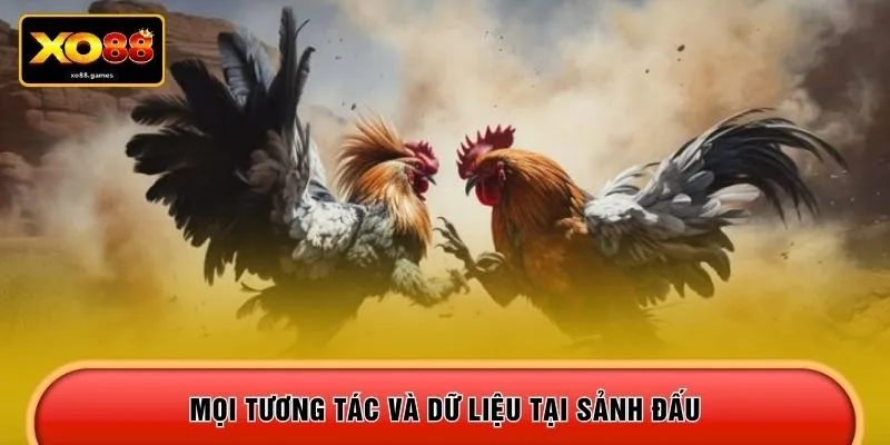 Mọi tương tác và dữ liệu tại sảnh đấu