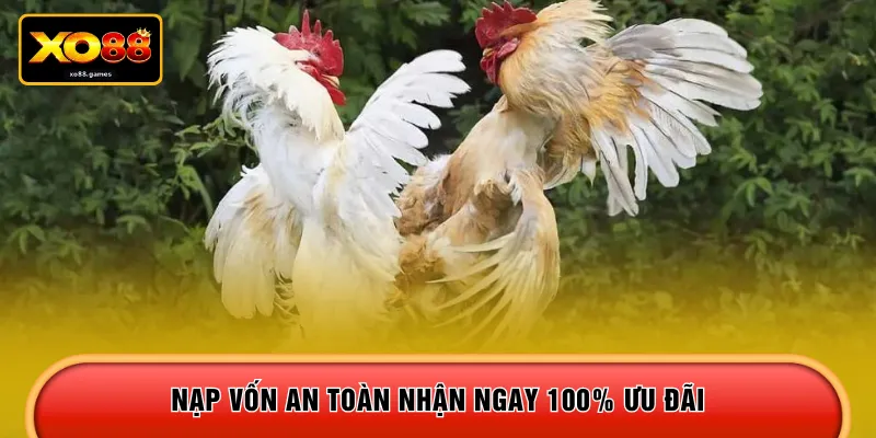 Nạp vốn an toàn nhận ngay 100% ưu đãi 