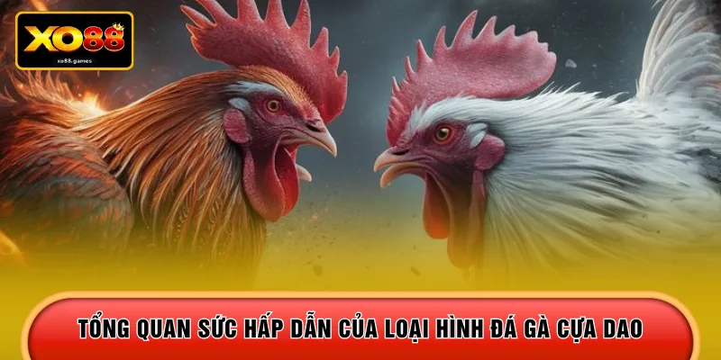 Tổng quan sức hấp dẫn của loại hình đá gà cựa dao 